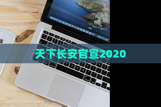 天下长安官宣2020